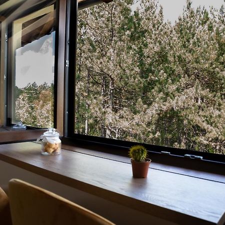 Zlatibor Apartman & Spa Casa Perfetta Kültér fotó
